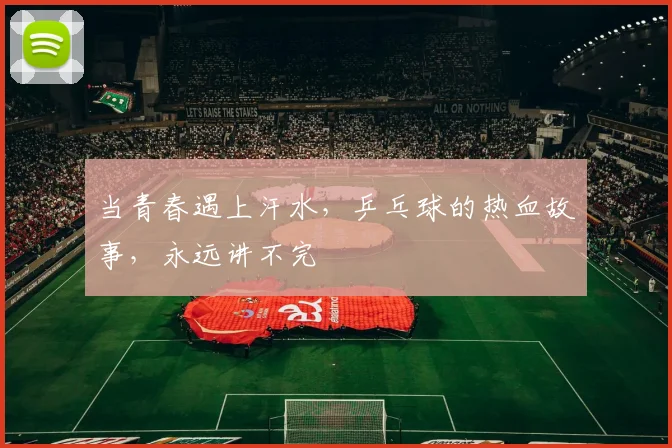 当青春遇上汗水,乒乓球的热血故事,永远讲不完