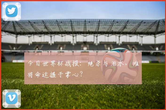 今日世界杯战报:绝杀与泪水,谁将命运握于掌心?